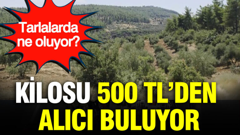haber-gorseli-1787057842136